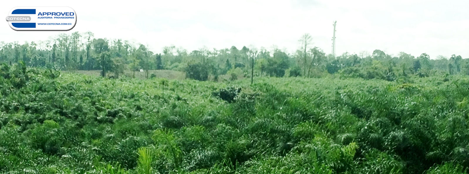 Administración de Proyectos Agrícolas